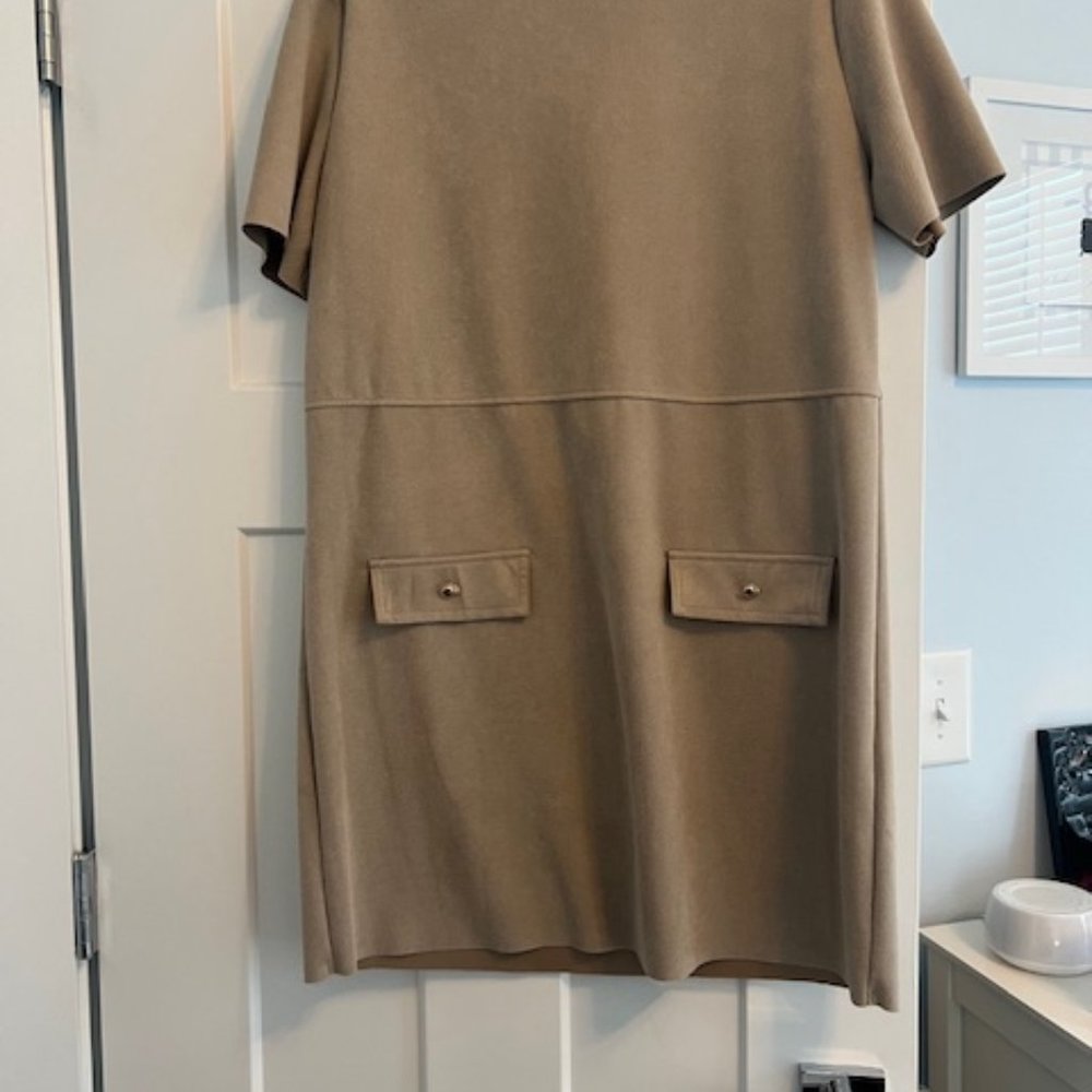 Zara Beige Dress